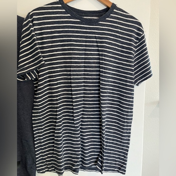 Bundle of 2 blue tees (J.Crew and Truth Substance) - Picture 3 of 10